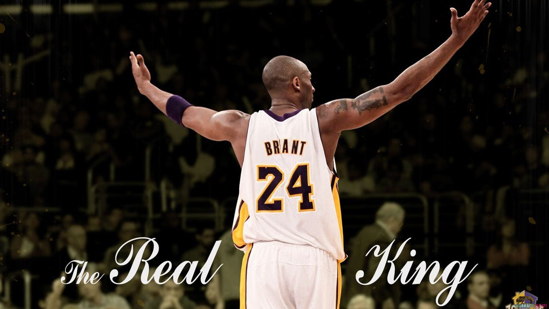 浙江风暴席卷布鲁克林,武切维奇全能高光映衬团队篮球哲学